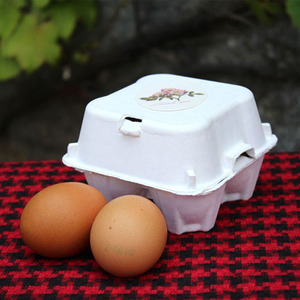 4个纸浆鸡蛋盒 [500个/大箱子] 鸡蛋盒